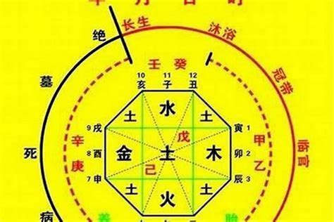 五行忌土|八字五行喜忌查询